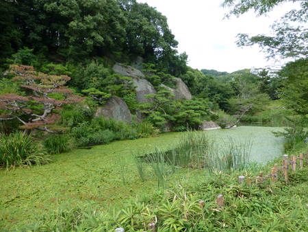 湯築城　堀