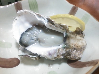 魚３.JPG