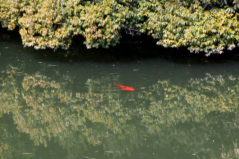 山の辺の道_2-3.jpg