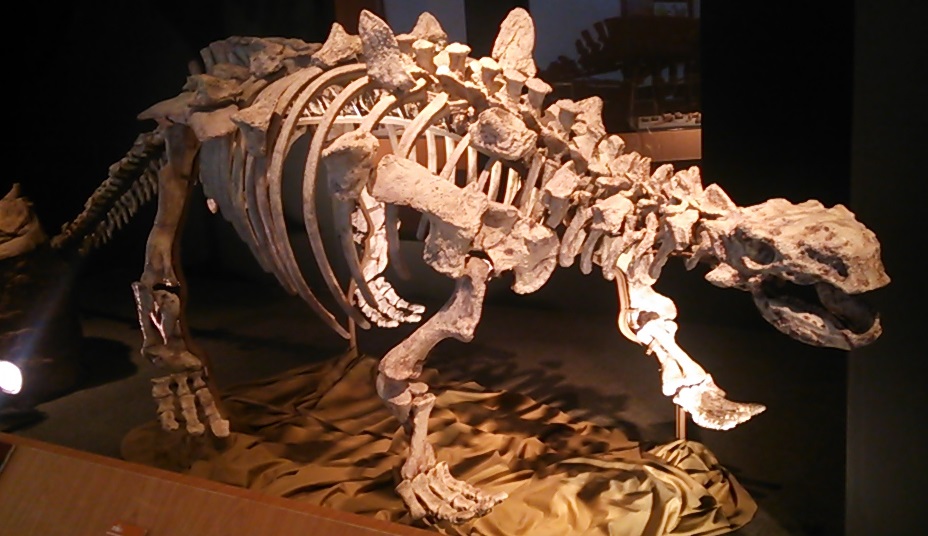 チャジアンゴサウルス