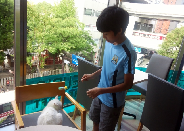 KC4F0567 (640x457).jpg