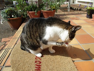 IMG_9721ss.jpg