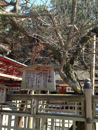 Dazaifu-4.JPG