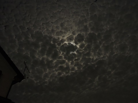 DSCN3140s.JPG