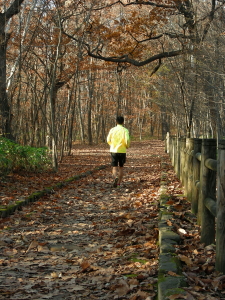 2017-10-28hito (1).JPG