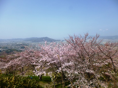 a-P1040460.jpg