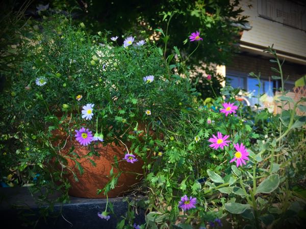 rblog-20160825165128-09.jpg
