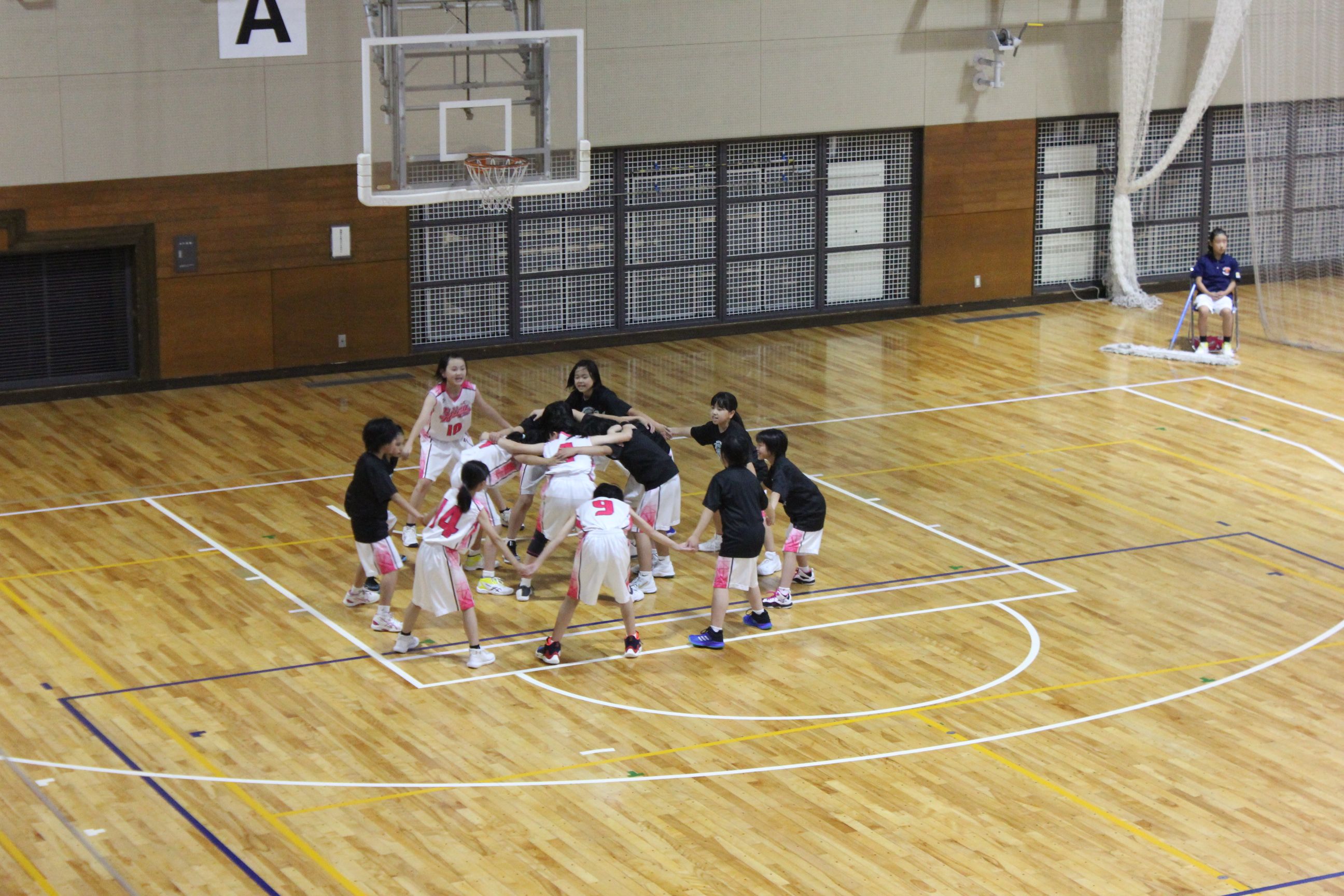第３４回県立中央公園女子ミニバスケットボール交流会 秋田県総合公社ブログ 楽天ブログ