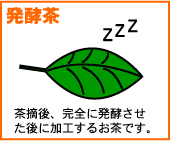 hakkou-pic.gif