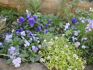 IMG_5756ss.jpg