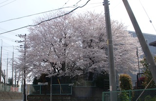 DSCN3817.JPG