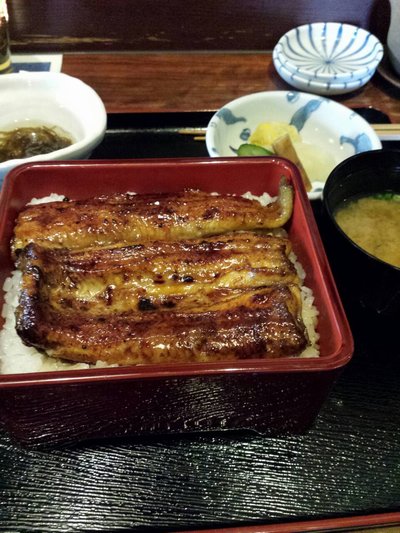 鰻