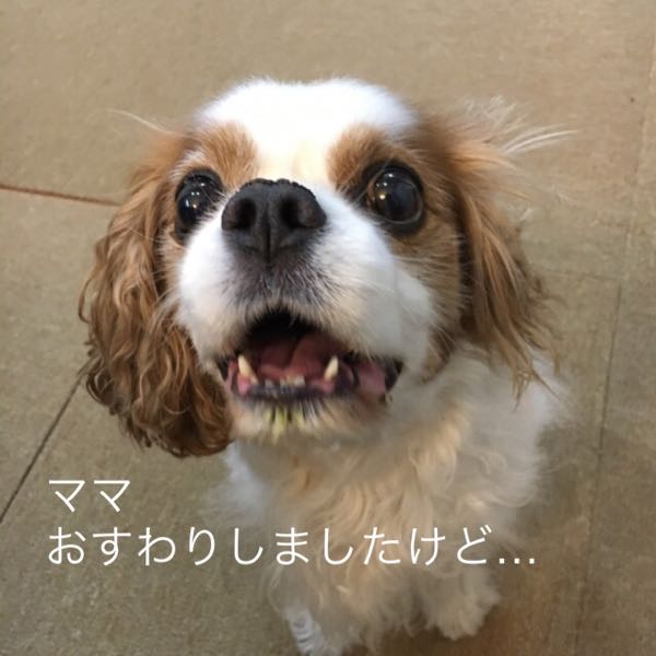 rblog-20170804205322-03.jpg