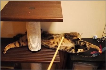 のび～