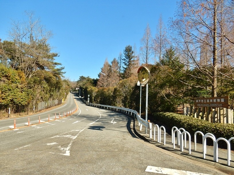 森林植物園前1.JPG