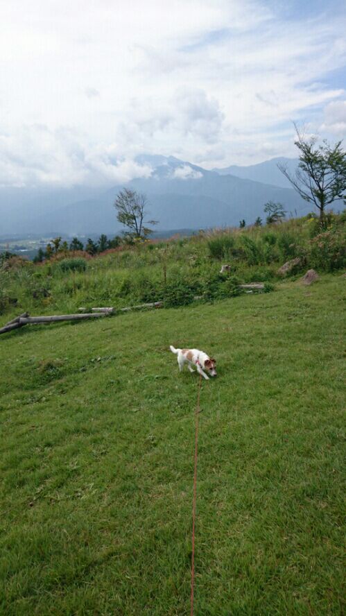 rblog-20170913083727-02.jpg