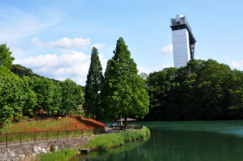 花５