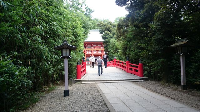 2015-07-20 09.12.04.jpg