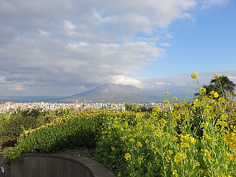 14 IMG_0658.jpg