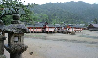 全景.jpg