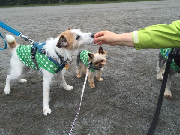 rblog-20160608004247-01.jpg