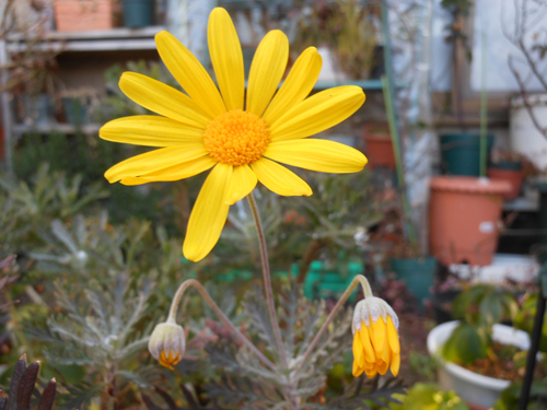 DSCN0422.JPG