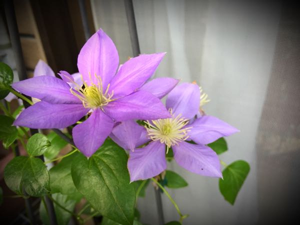 rblog-20160630185104-03.jpg