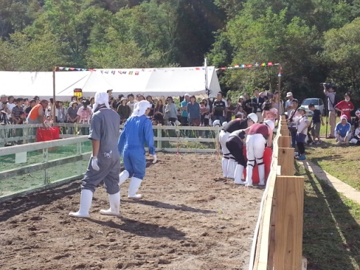 20130922_135227.jpg