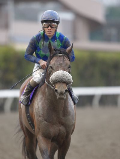 レース後