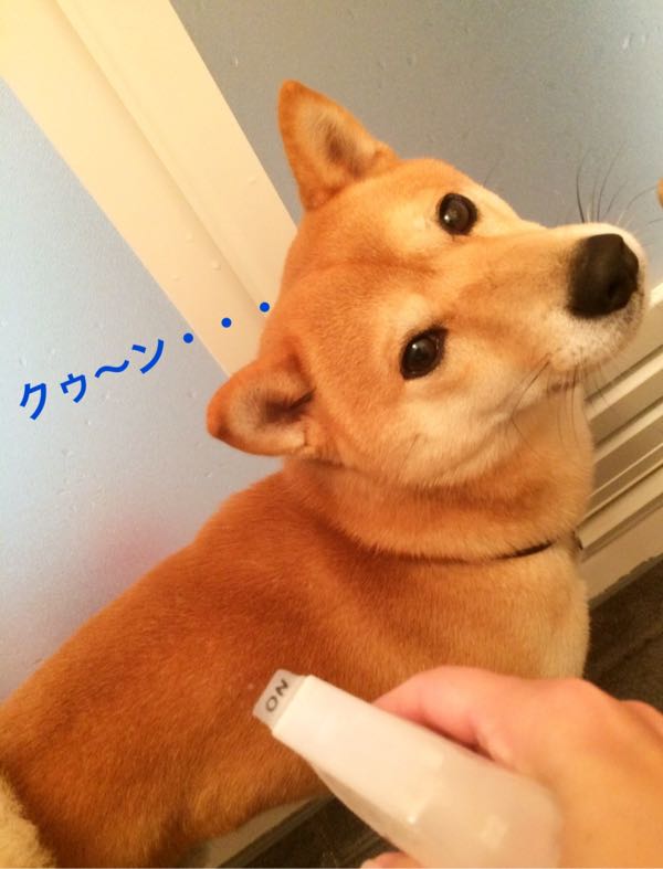 rblog-20161116124314-03.jpg