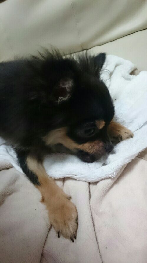 rblog-20150626150021-02.jpg