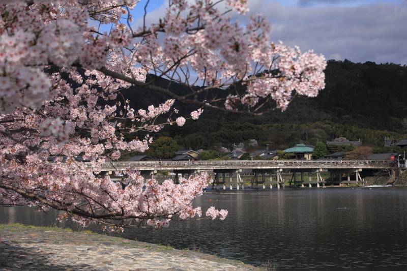 渡月橋_003.jpg