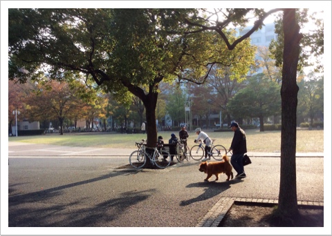 昼下がりの山下公園