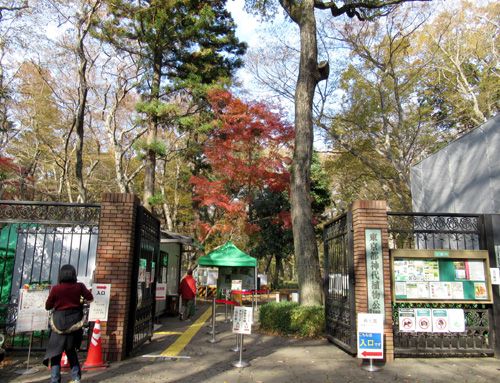 紅葉の深大寺 神代植物公園 かえで園 なやましの森 楽天ブログ