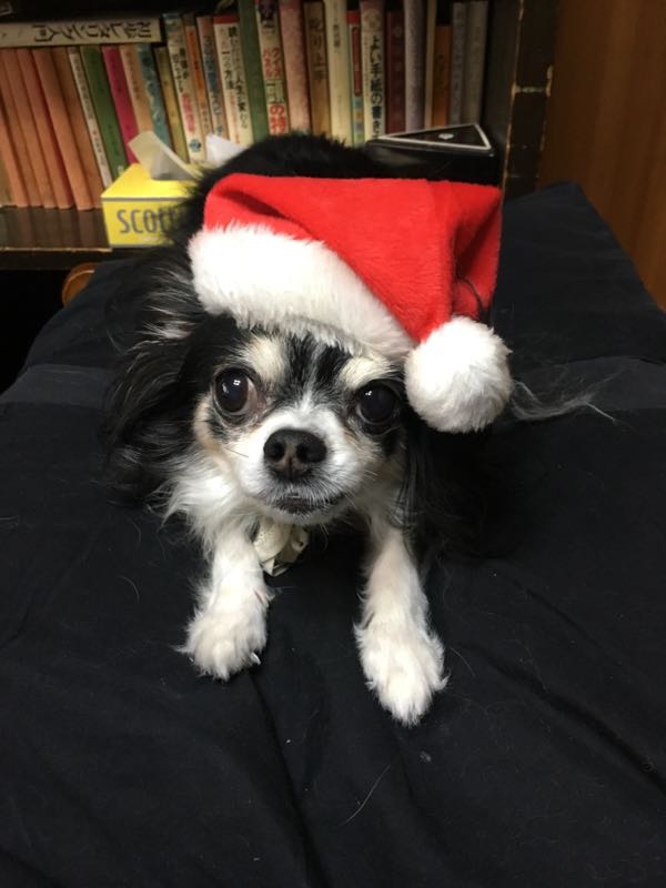 rblog-20181224230037-01.jpg