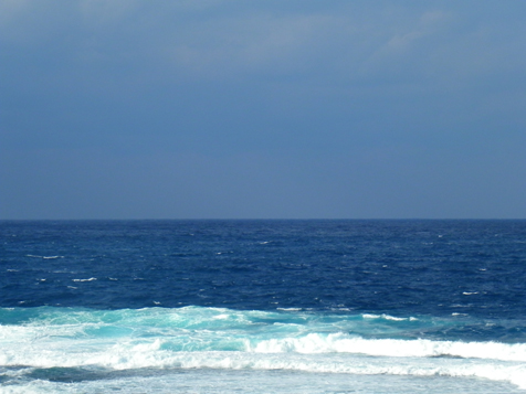 DSCN0731.jpg