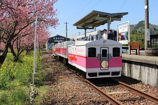 熊本 宮崎の旅 18 04 08 あまてらす高千穂鉄道 グランドスーパーカート ポチの徒然日記 楽天ブログ