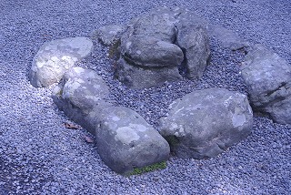 DSC_2090.jpg