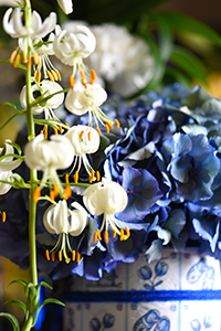 横浜山手西洋館