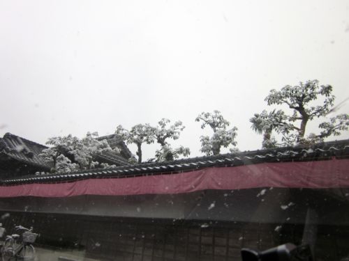 IMG_8500.JPG