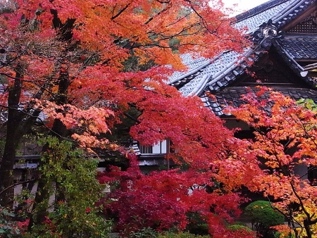 京都旅行 067 (450x338).jpg