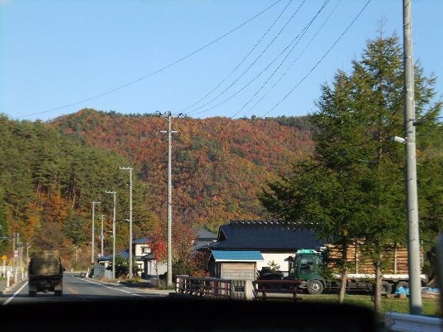 DSCF2546.jpg