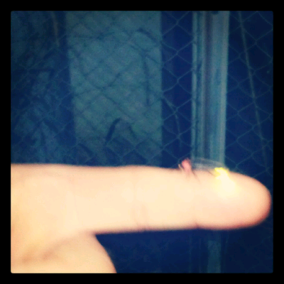 rblog-20130613160646-01.png