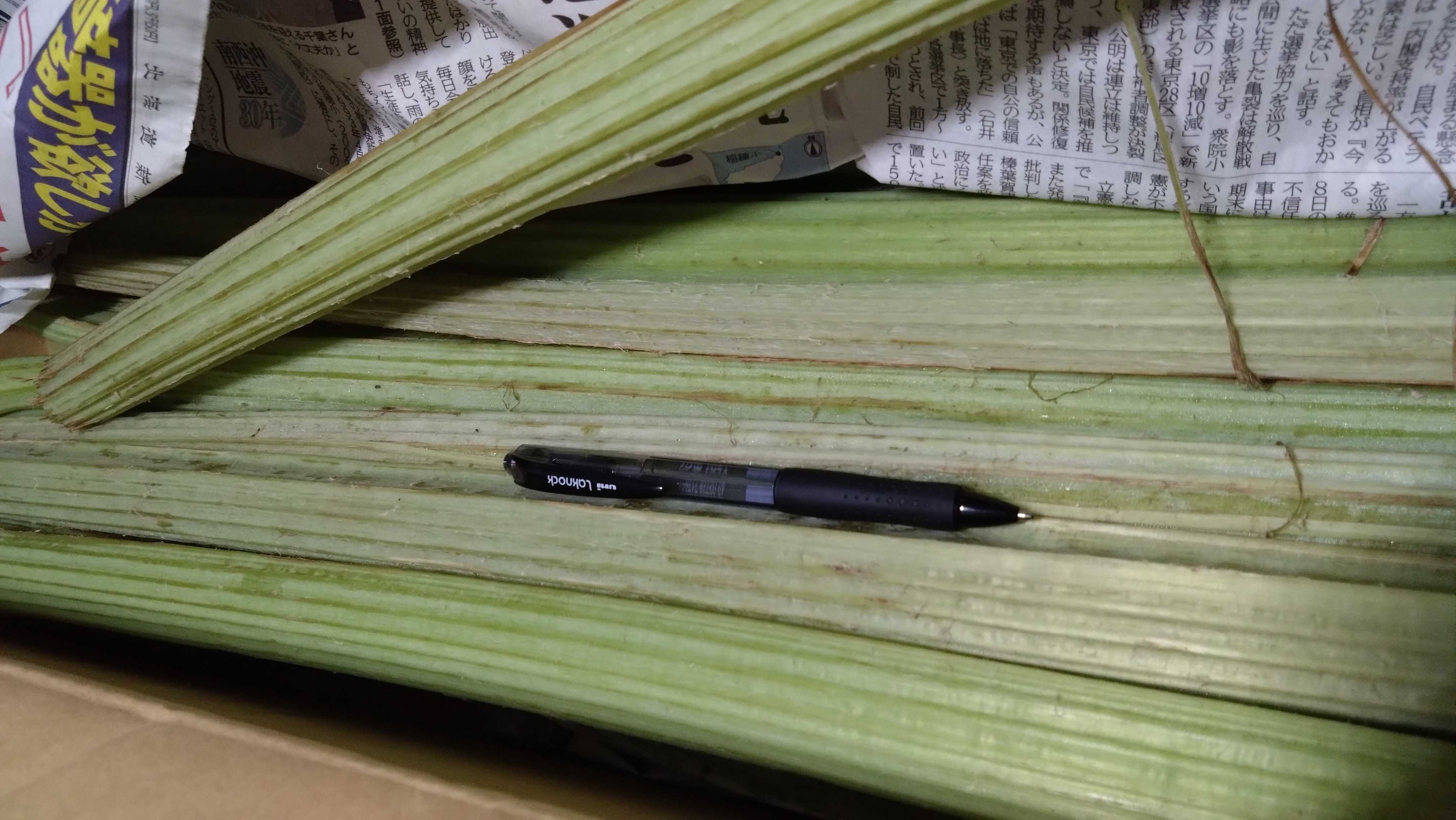 ラワン蕗 とりどり帖 楽天ブログ