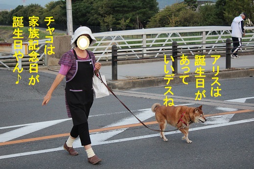 ママ&チャコ