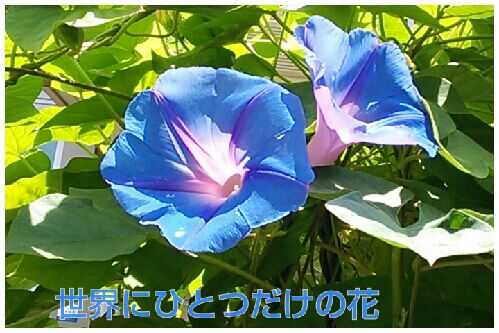 rblog-20160706063118-00.jpg