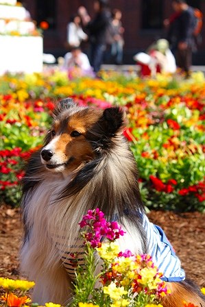 IMG_8013.jpg