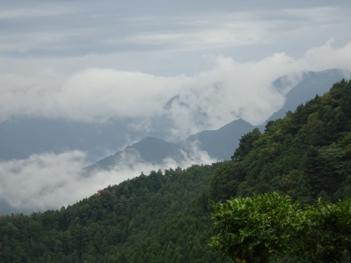 DSC02457_R.JPG