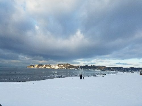 rblog-20180123091657-01.jpg
