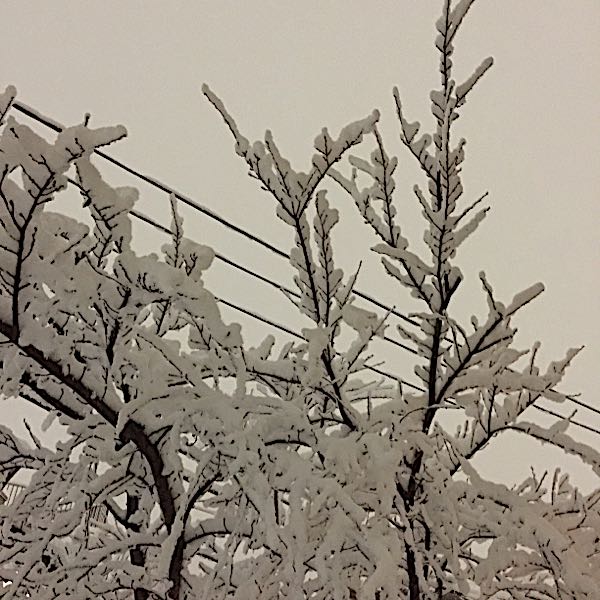rblog-20180123143627-01.jpg